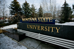 New Larger Montana State University Sign