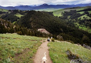 Hiking the 