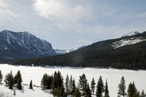 Gallatin National Forest approves large watershed project