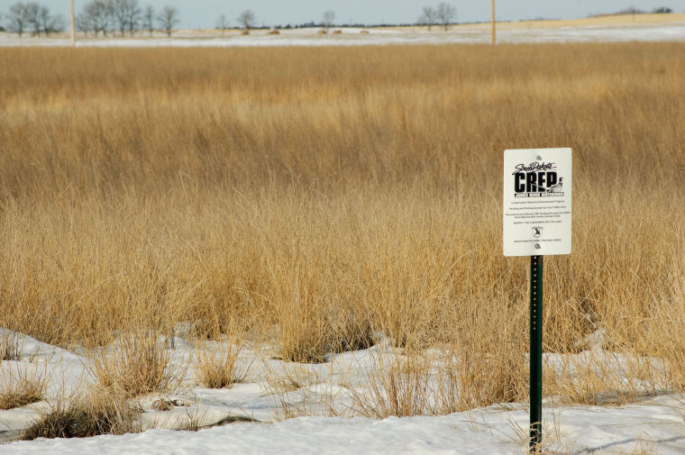 CREP convinces some landowners to keep land in CRP and assures hunter