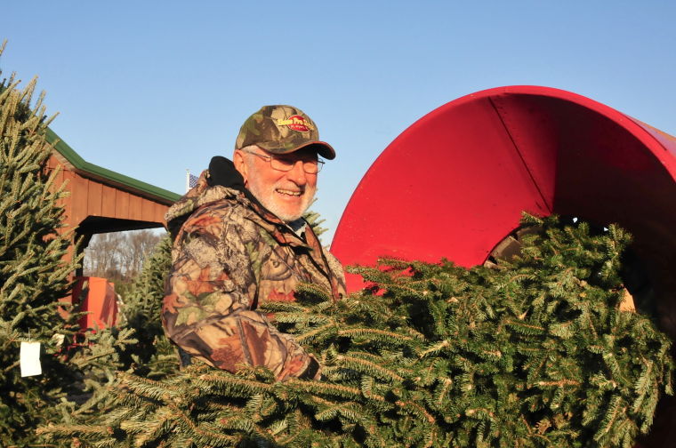 pine valley christmas tree farm celebrates 50 years pine valley christmas tree farm celebrates 50 years