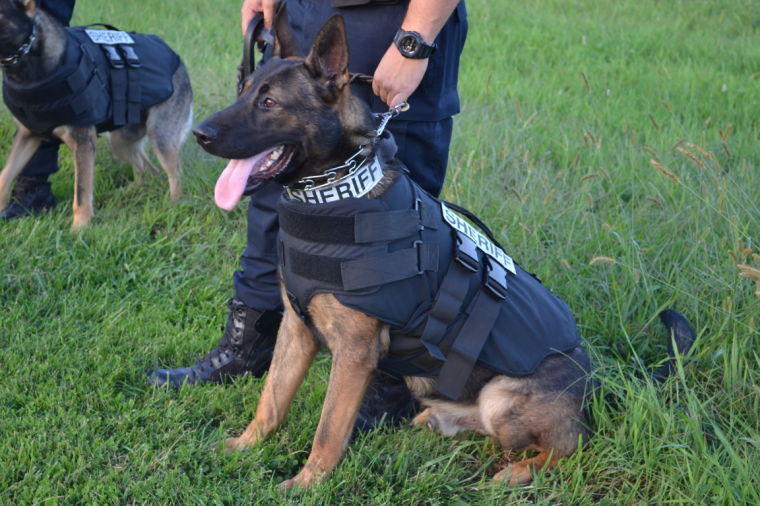 Kennel club outfits sheriff's office K9 unit with Kevlar vests Local
