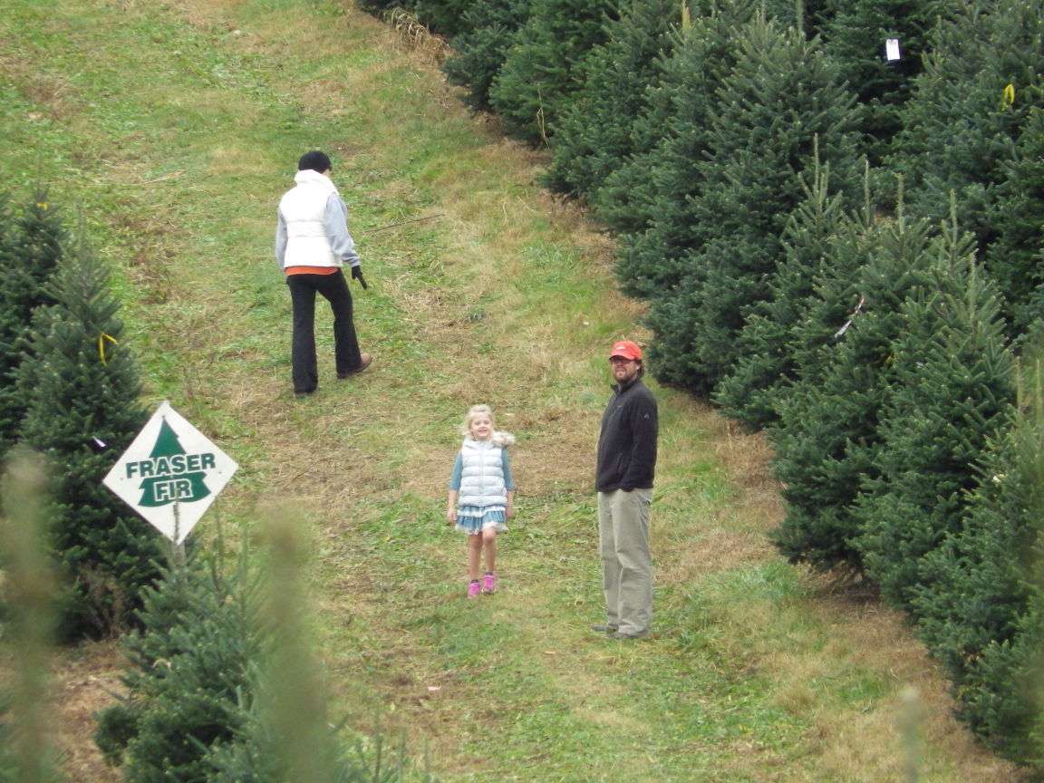 christmas officially begins at pine valley tree farm christmas officially begins at pine valley tree farm