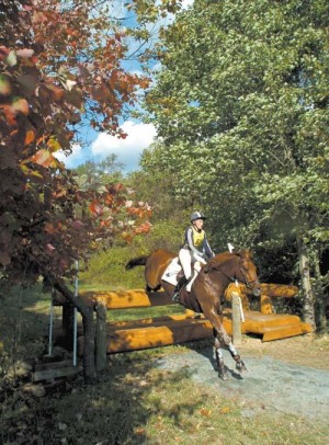 Fair Hill International