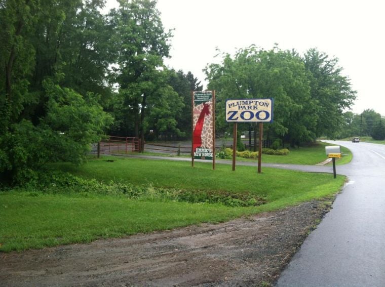 Lightning Strikes Intern At Plumpton Park Zoo Near Rising Sun 