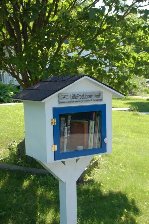  Little Free Library