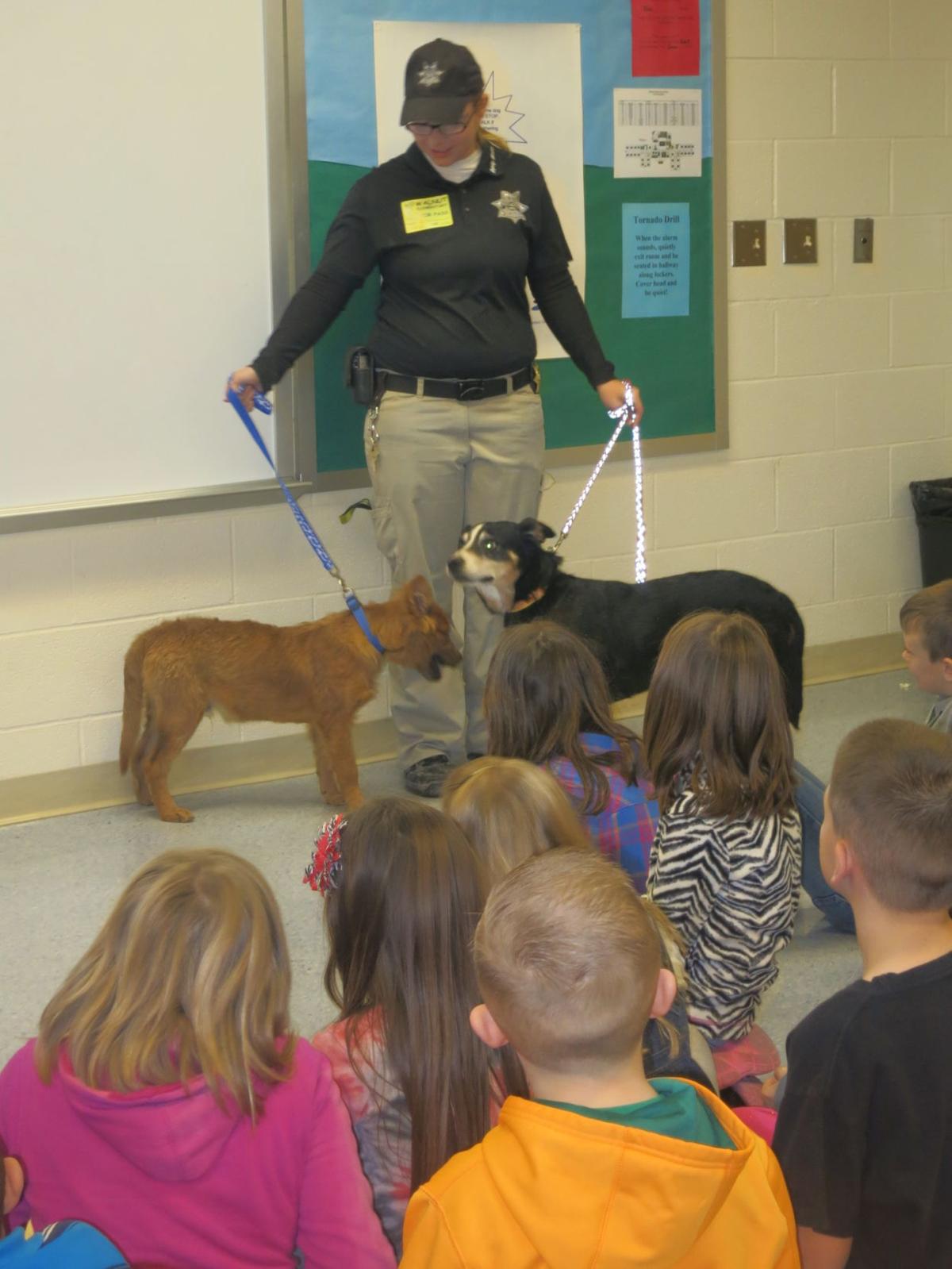 Walnut Elementary students, staff collect funds for Pickaway County Dog