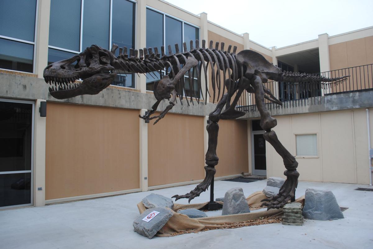 swau dinosaur museum