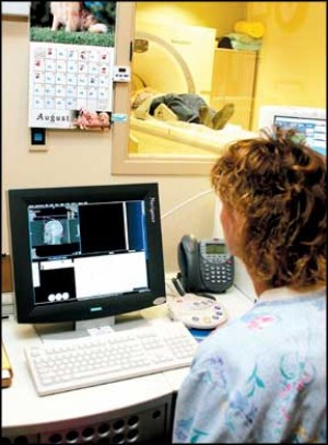 Ct+scan+machine+price