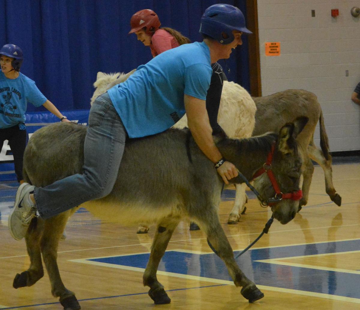 Players learn donkey ball is stubborn game Local