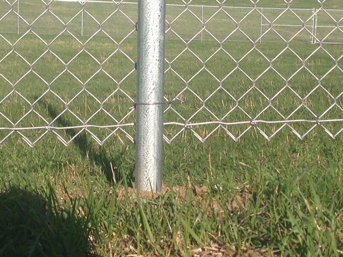 Height of dog park fence causes concern for area pet owners News