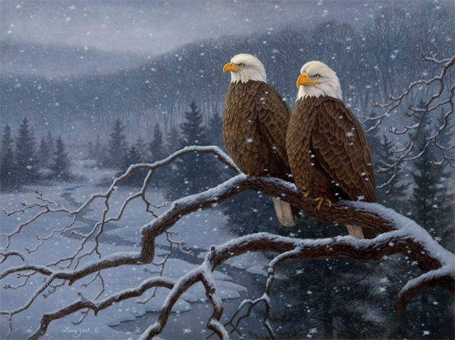 decorah eagles to soar into thundering toms banquet decorah eagles to soar into thundering toms banquet