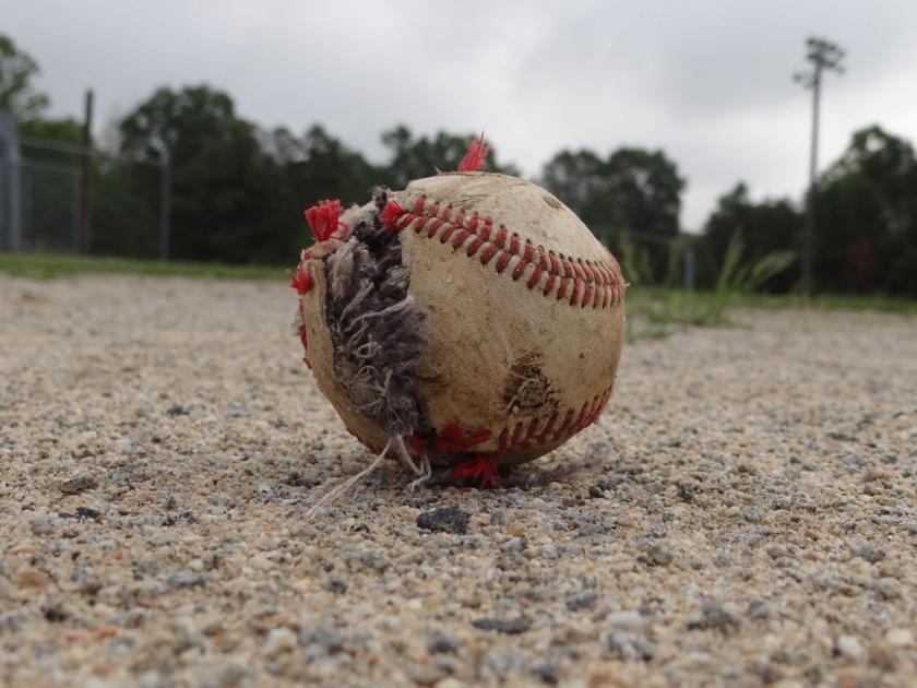 lNavarro Baseball: Walker goes 4 for 4, homers in Dawg's 9-3 win over Panola