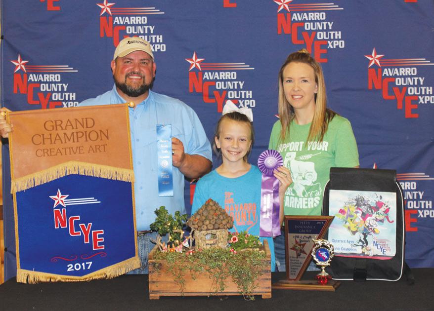 Fairy garden and metal deer mount take top honors