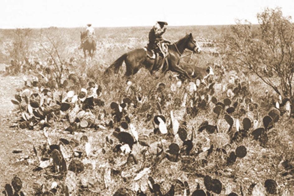 Vaquero exhibit opens March 8 at Pearce Museum