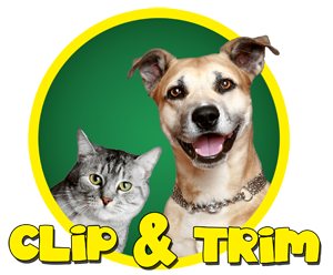 Clip & Trim