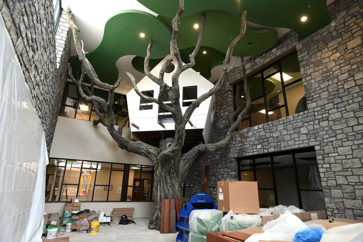 Iron school library includes treehouse Boiling Springs