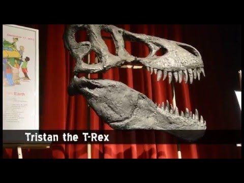 tristan the t rex