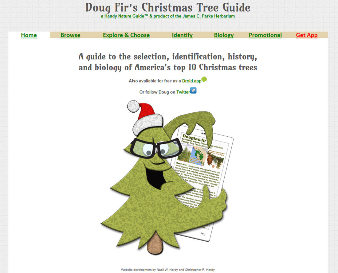 buying a christmas tree there s an app for that buying a christmas tree there s an app for that