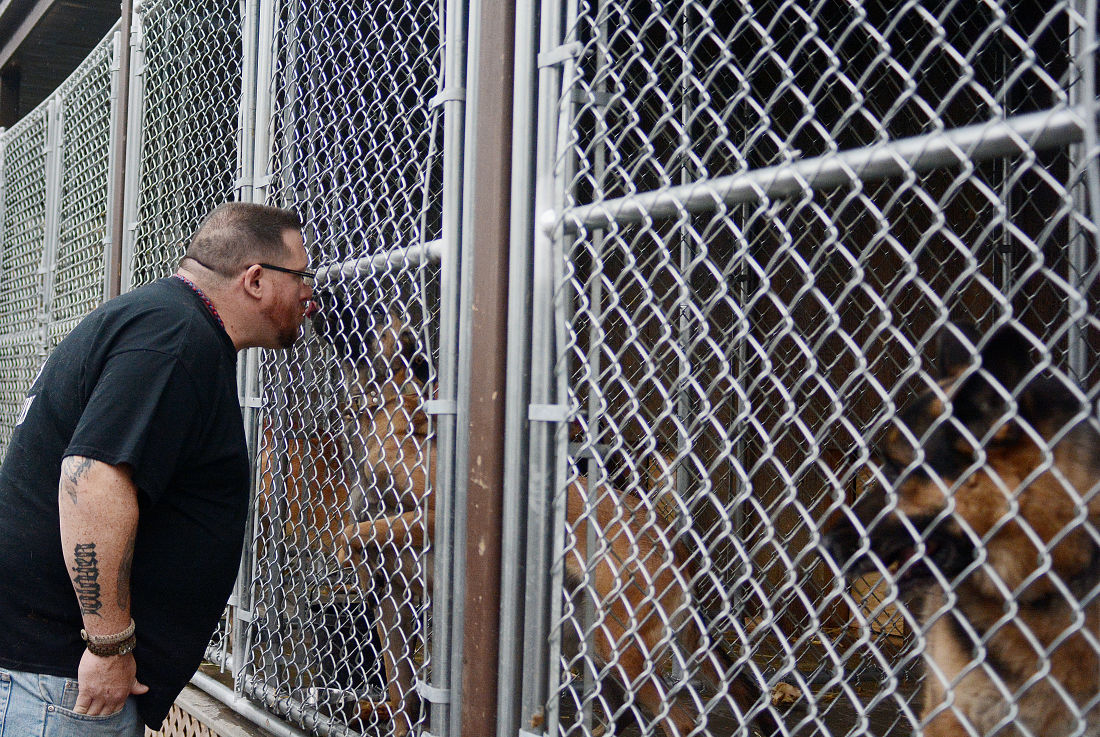 loyalty repaid canine rescue gains national scope news loyalty repaid canine rescue gains national scope news