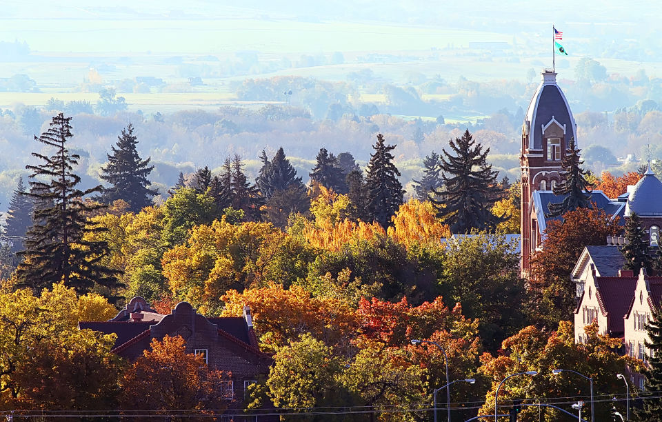 Ellensburg fall leaves | Photo Gallery | dailyrecordnews.com