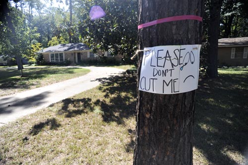 Photos of the Week 09/29-10/05 ...