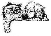 Albany Pet Hotel