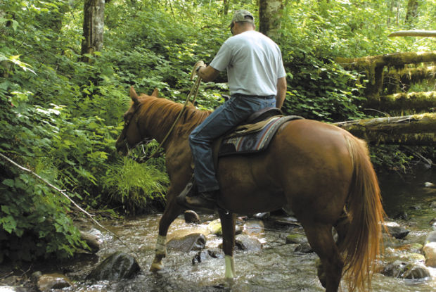 Poker trail rides oregon