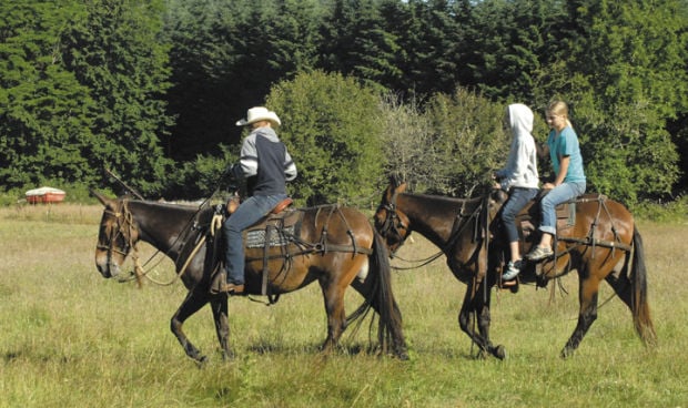 Poker trail rides oregon