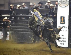 The thrill of eight seconds: Bull riders dazzle at Hoof 'n Holler