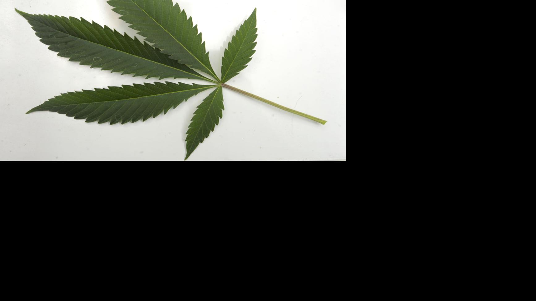 For Albany, a long, strange trip for pot - Albany Democrat Herald