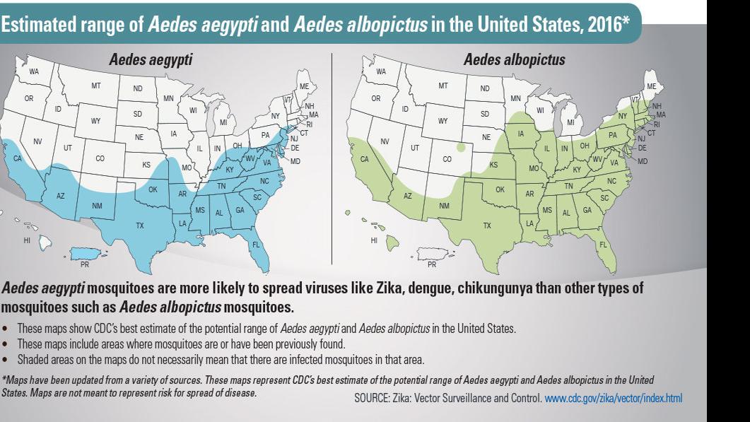 FDA suggests blood testing for Zika virus