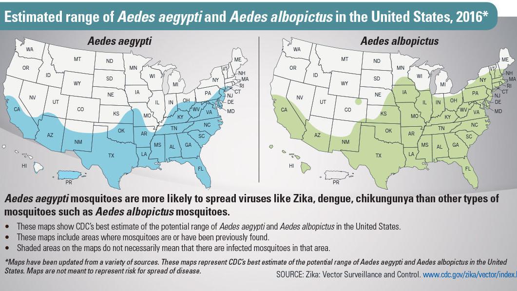 FDA suggests blood testing for Zika virus