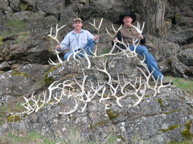 Shed hunting takes off | Oregon-outdoors | democratherald.com