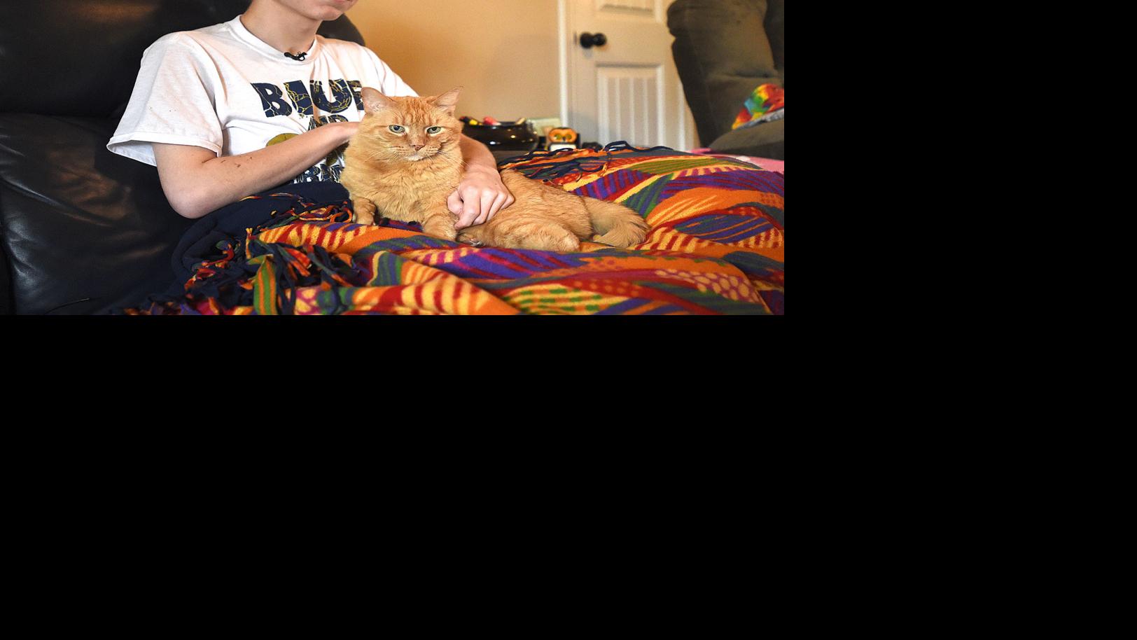 He's alright: Albany boy speaks after being hit by car - Albany Democrat Herald