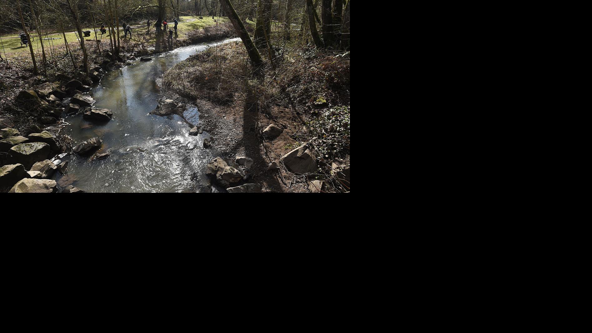 Gallery: South Albany Watershed Club plants at Bowman Park - Albany Democrat Herald