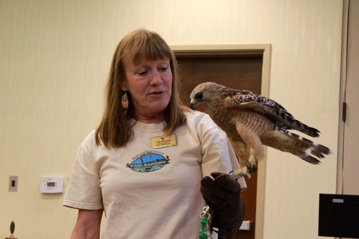 Wildlife Rehab Nature Center Development Progresses News