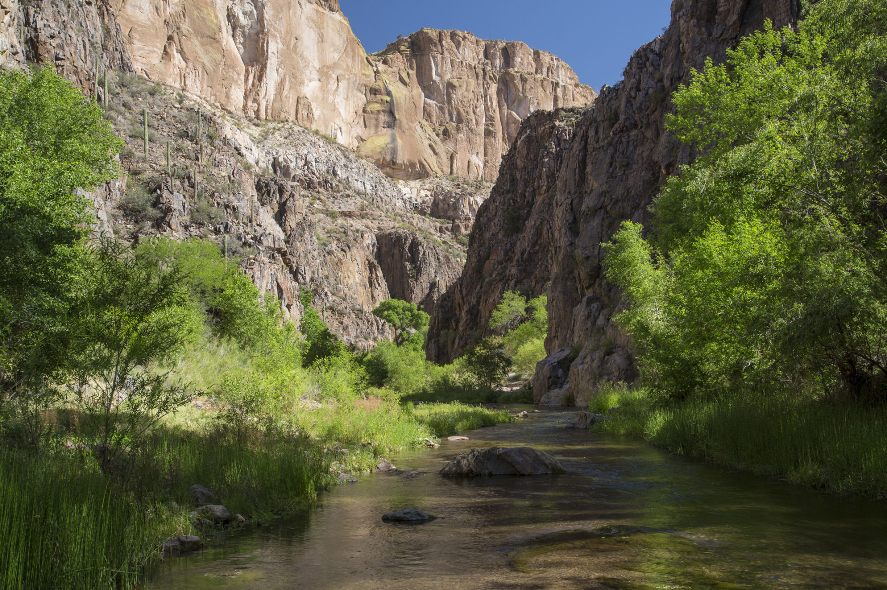 BLM Releases Management Plan For Aravaipa Canyon Region | Local News ...