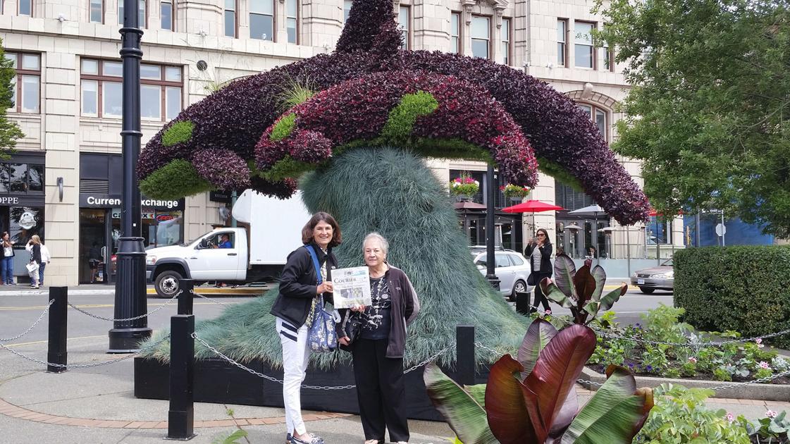 North to Alaska (and Canada with the Courier) - Eastern Arizona Courier