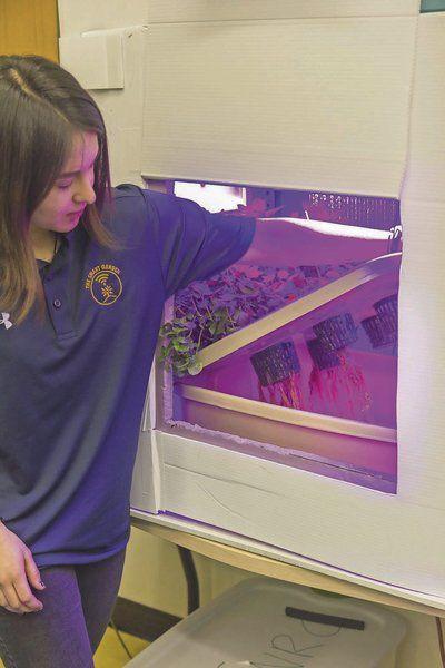 'Food computer' project takes Andover students to China - Eagle-Tribune