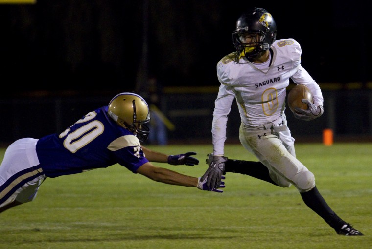 Saguaro at Queen Creek