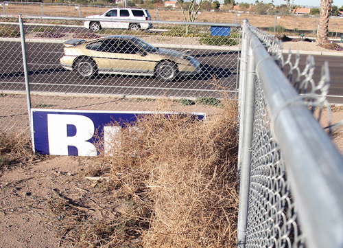 Campaign signs