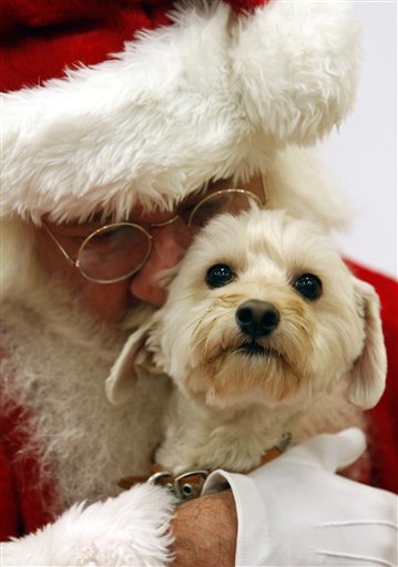 Pets High-Tech Gifts