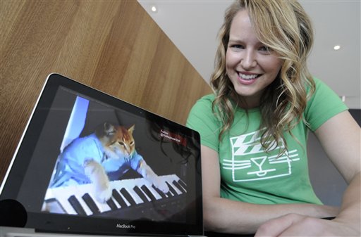  Cat videos