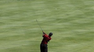 Tiger coasts to a runaway victory 
