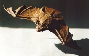 Pursuits-Origami