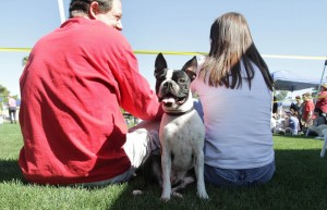 Ahwatukee Foothills Dog Show