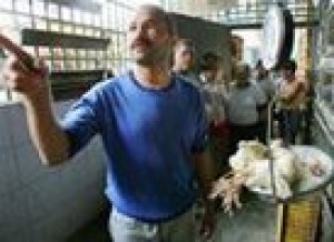 Experts: Bird flu import bans illogical 