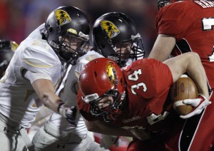 Saguaro at Chaparral