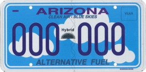 Arizona hybrid plate